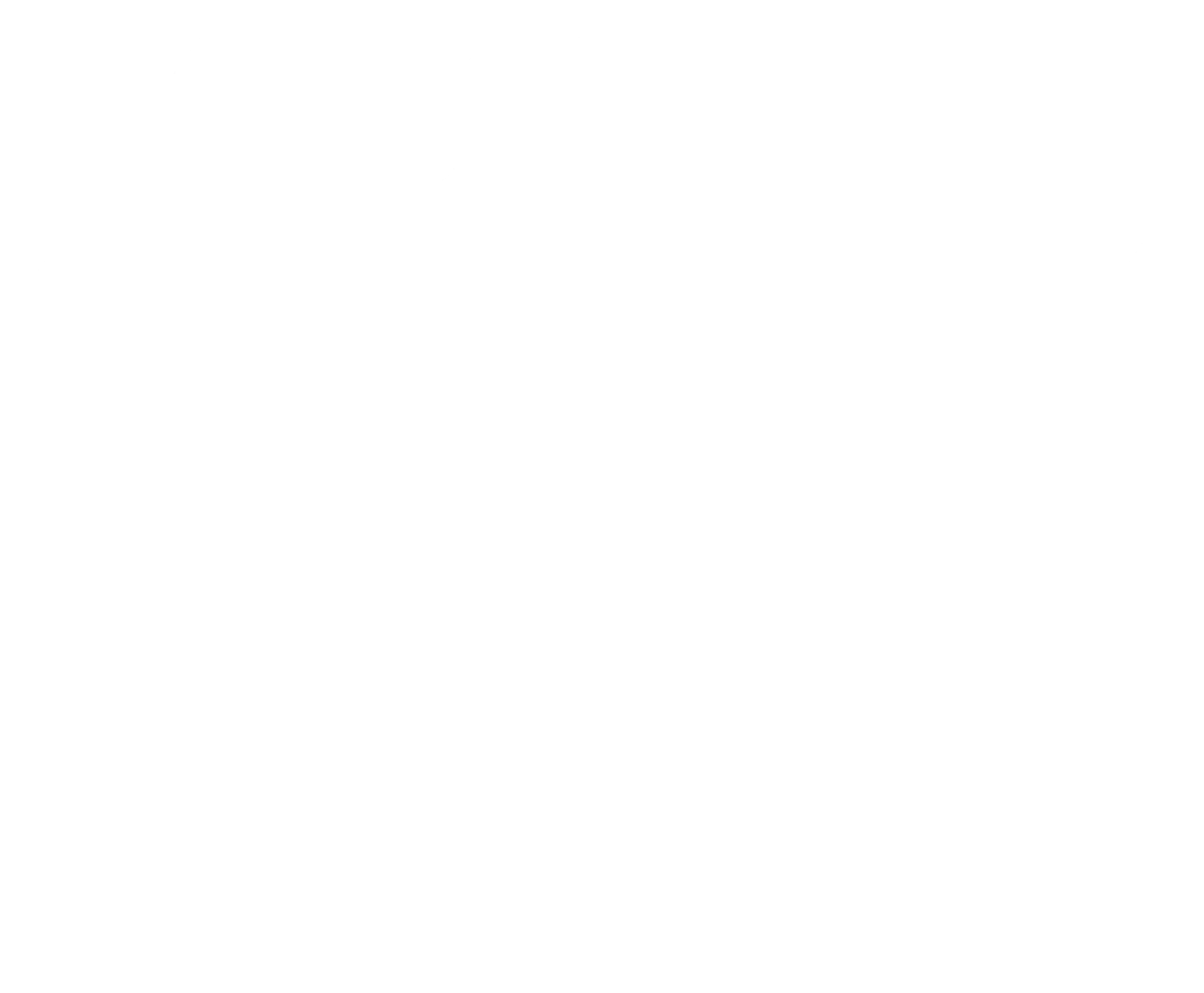 Diamond Dogs Studio